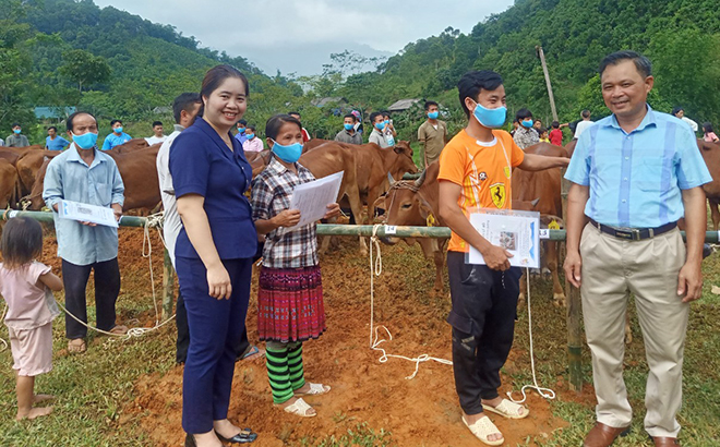 Hội Liên hiệp Phụ nữ tỉnh phối hợp với Tổ chức Samaritan’s Purse trao bò giống hỗ trợ sinh kế cho người dân tại 2 thôn Hồng Lâu, Khe Ron, xã Hồng Ca, huyện Trấn Yên tháng 8/2022.