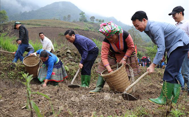 Bí thư Tỉnh ủy Yên Bái Đỗ Đức Duy tham gia trồng khoai sọ nương cùng đồng bào Mông ở thôn Mù Thấp, xã Bản Mù, huyện Trạm Tấu.