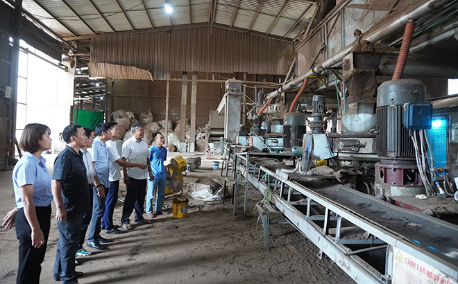 Experts examine and give advice on wood pellet production technology at the Yen Bai branch of the Netma JSC.