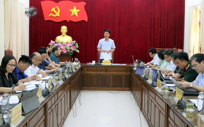 Phó Chủ tịch Thường trực UBND tỉnh Nguyễn Thế Phước phát biểu tại cuộc làm việc.