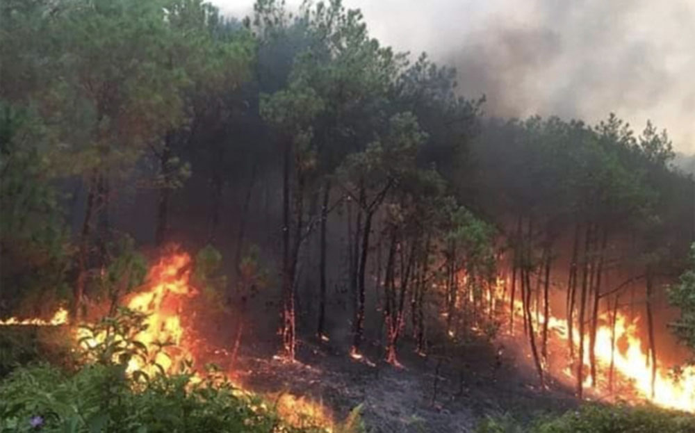 Khu vực rừng bị cháy tại tỉnh Nghệ An chiều 30/4/2024.