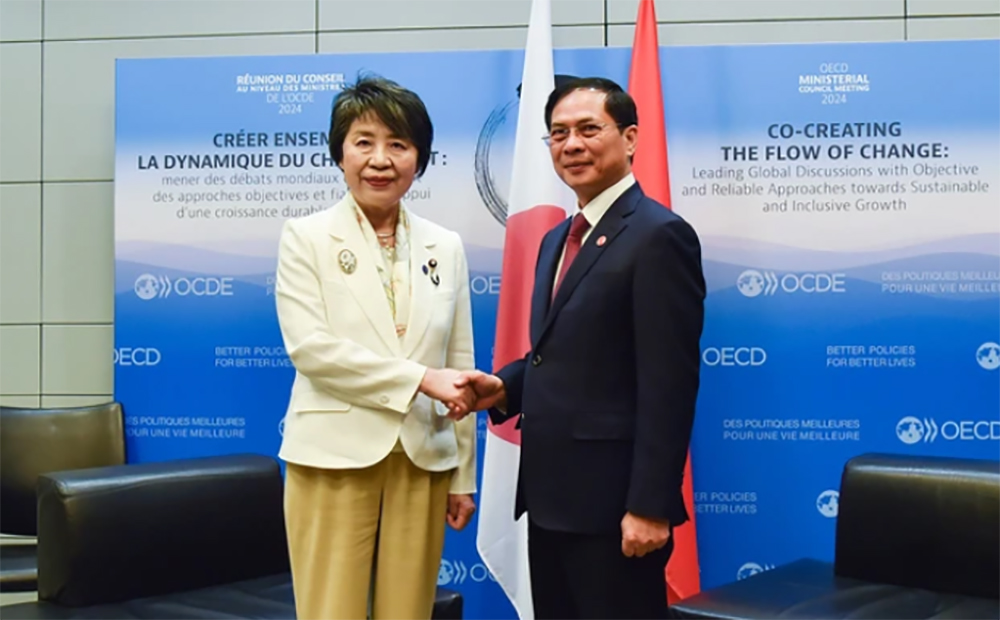 Bộ trưởng Ngoại giao Bùi Thanh Sơn gặp Bộ trưởng Ngoại giao Nhật Bản Kamikawa Yoko