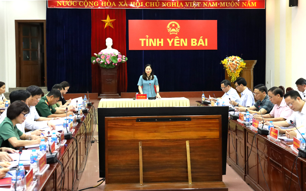 Phó Chủ tịch UBND tỉnh Vũ Thị Hiền Hạnh kết luận Hội nghị.