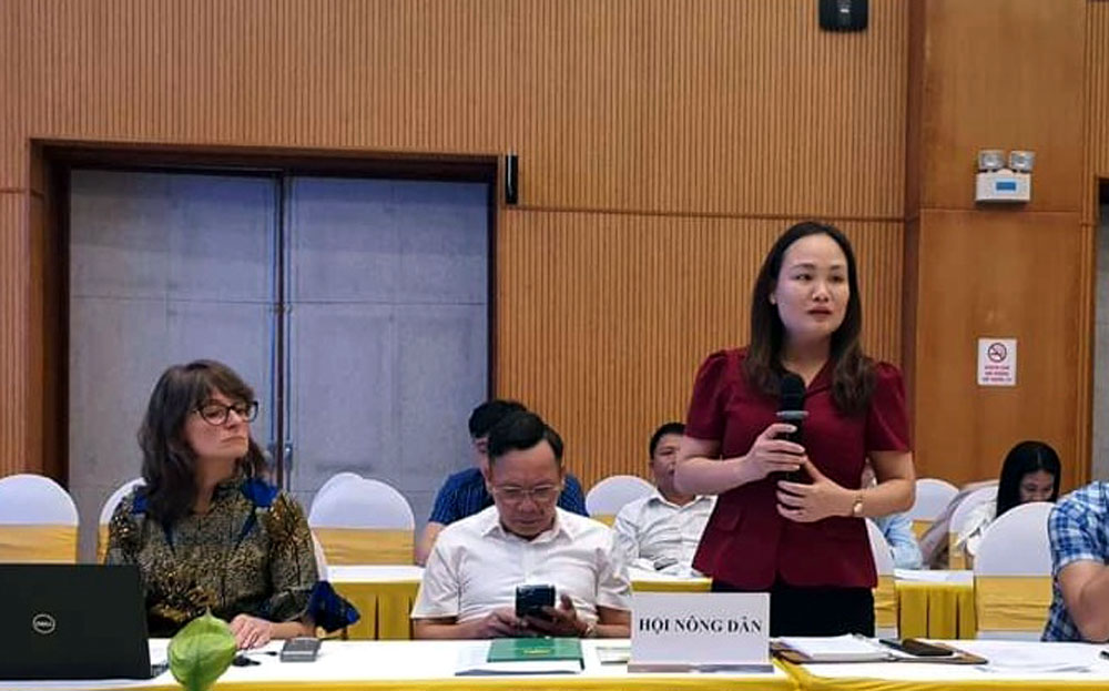 Bà Nguyễn Thị Phương Đông - Phó Chủ tịch Hội Nông dân tỉnh Yên Bái phát biểu tại Hội thảo.
