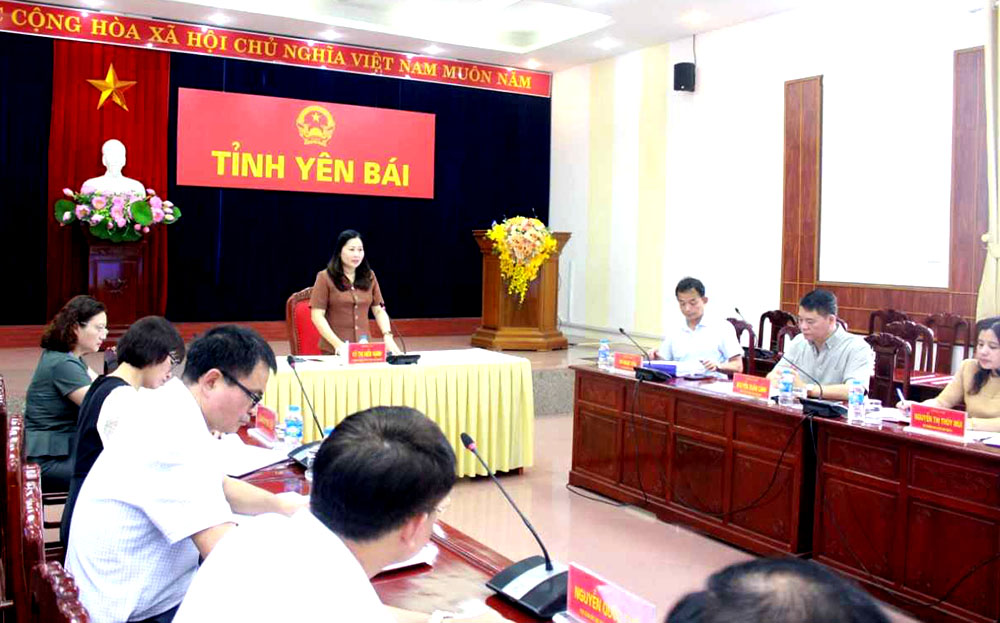Đồng chí Vũ Thị Hiền Hạnh – Phó Chủ tịch UBND tỉnh chủ trì cuộc họp.
