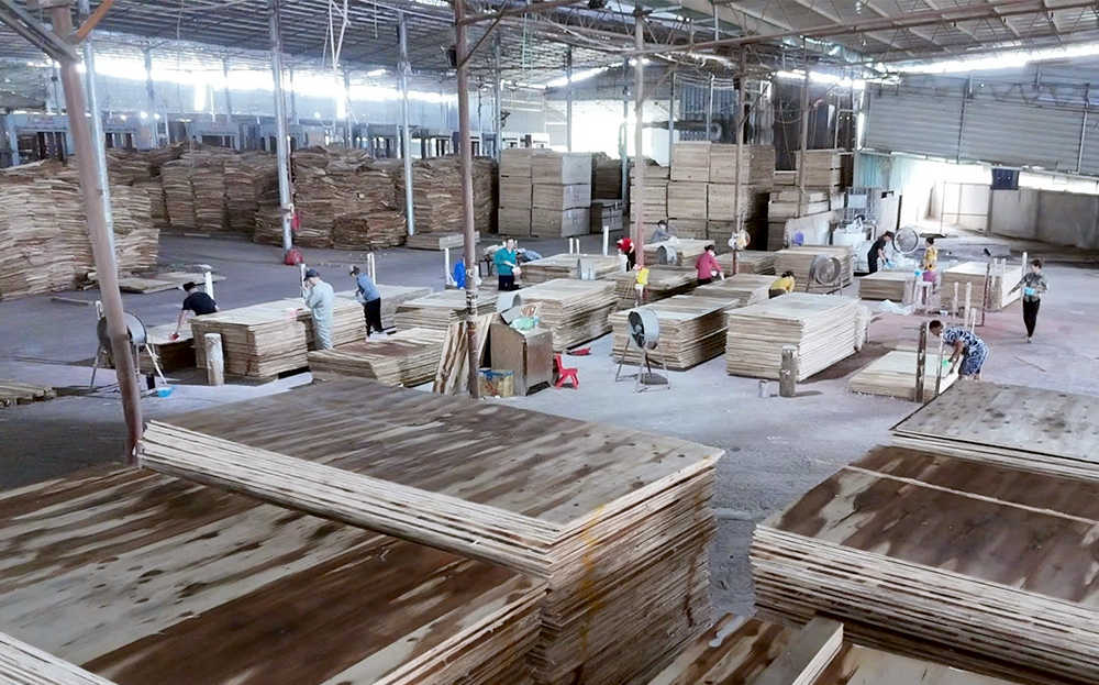 Production at JUNMA Yen Bai joint Stock Company.