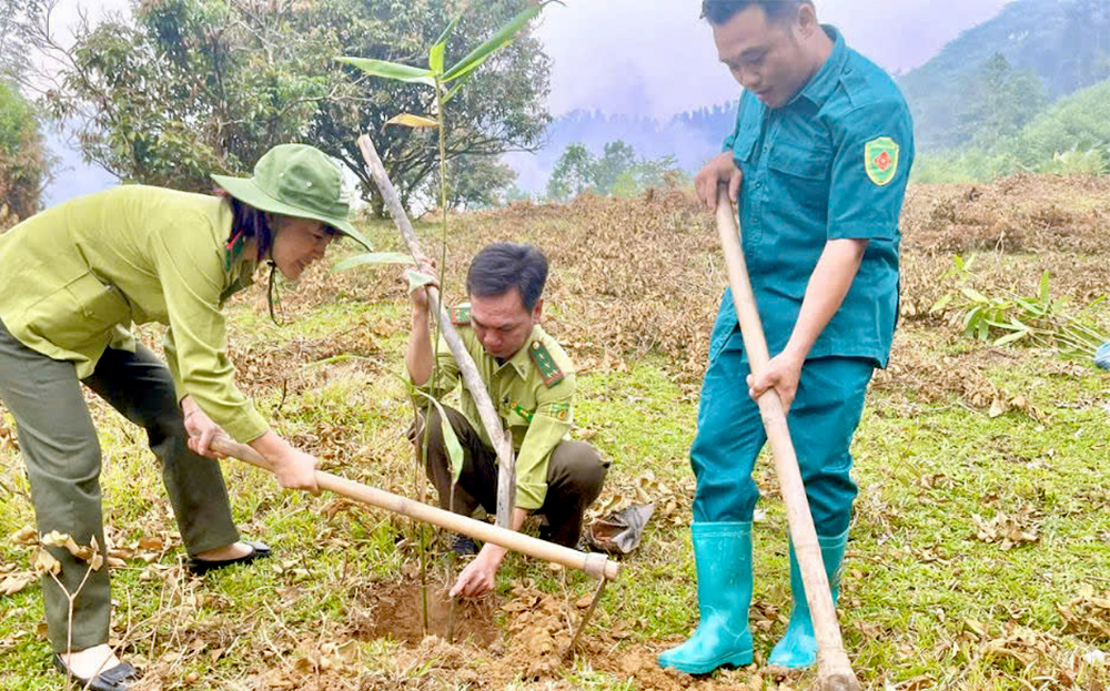 Hạt Kiểm lâm tăng cường bám sát địa bàn, hỗ trợ người dân kỹ thuật chăm sóc rừng trồng, đẩy mạnh công tác cấp chứng chỉ rừng bền vững.