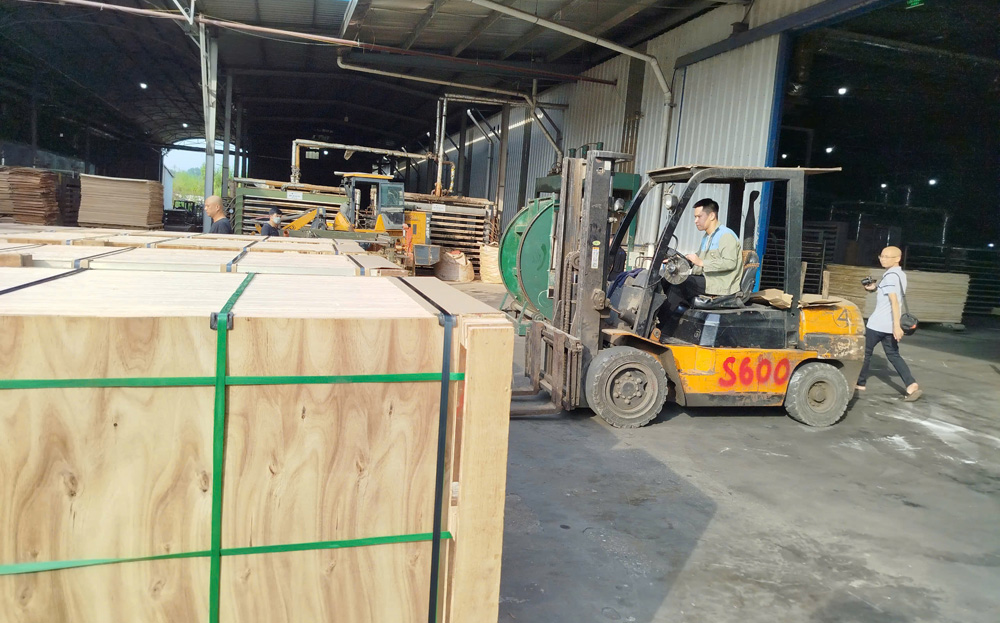 Sản xuất ván nhân tạo xuất khẩu tại Công ty cổ phần Thương mại sản xuất xuất Kim Gia, Khu công nghiệp phía Nam thành phố Yên Bái.