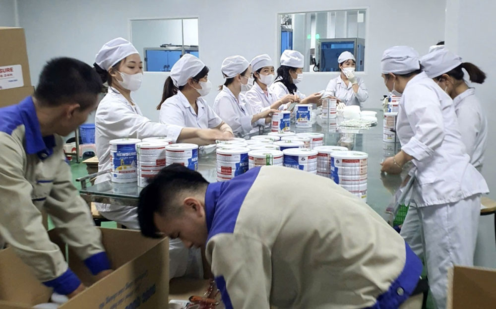 Các sản phẩm sữa giả trước khi ra thị trường.