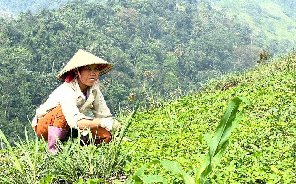 Hiện có 196 chính sách cụ thể được thực hiện tại vùng DTTS&MN, trong đó có 132 chính sách dân tộc.