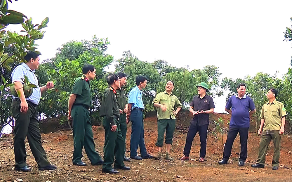 Mô hình kinh tế tổng hợp của gia đình cựu chiến binh Hà Ngọc Xô ở xã Giới Phiên, thành phố Yên Bái.

