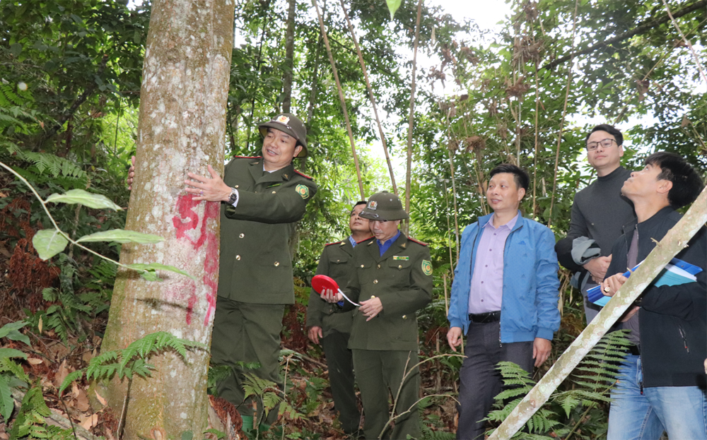 Lãnh đạo Chi cục Kiểm lâm tỉnh kiểm tra công tác bảo vệ rừng tại xã Lương Thịnh, huyện Trấn Yên