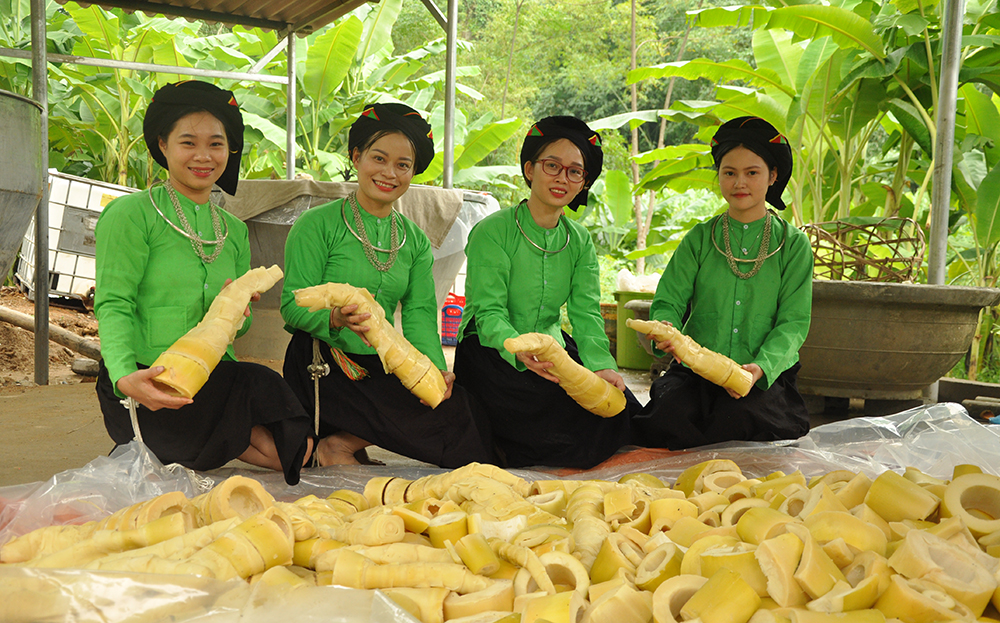 Măng mai Lâm Thượng đã được chứng nhận sản phẩm OCOP 3 sao.