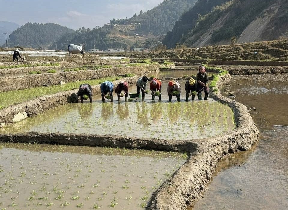 Địa điểm bố trí quỹ đất sản xuất phải đảm bảo khoảng cách không quá xa nơi sinh sống của người dân, giúp thuận lợi cho việc canh tác và sản xuất nông nghiệp.