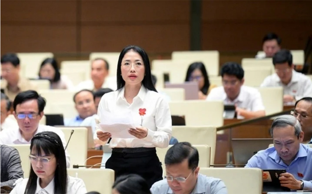 Đại biểu Trần Khánh Thu phát biểu thảo luận dự thảo Luật Hóa chất (sửa đổi).
