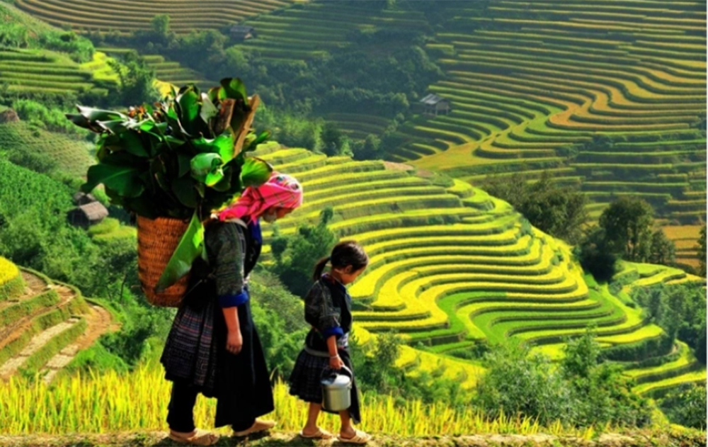 Tiêu chí phân định vùng đồng bào DTTS và miền núi giai đoạn 2026 - 2030 là căn cứ để xác định địa bàn ưu tiên đầu tư, phân bổ nguồn lực công bằng và hiệu quả.