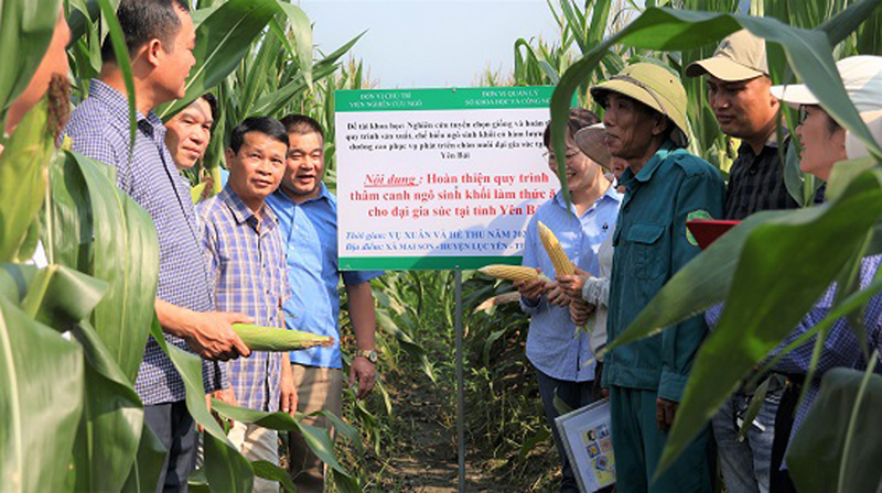Các đại biểu tham quan mô hình.