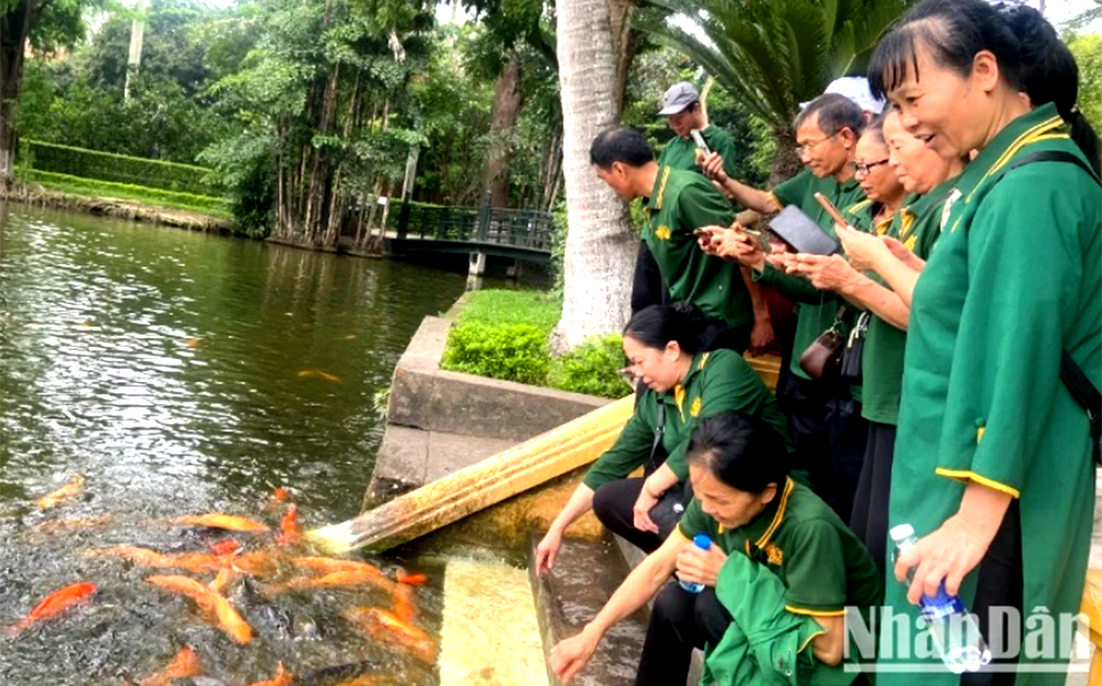 Du khách tham quan ao cá Bác Hồ.
