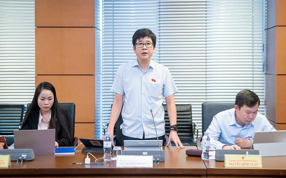 Đại biểu Nguyễn Thành Trung bày tỏ sự đồng tình cao với Báo cáo của Chính phủ và Báo cáo thẩm tra của Ủy ban Kinh tế và Tài Chính về sự cần thiết phải giảm 2% thuế giá trị gia tăng trong tình hình hiện nay.