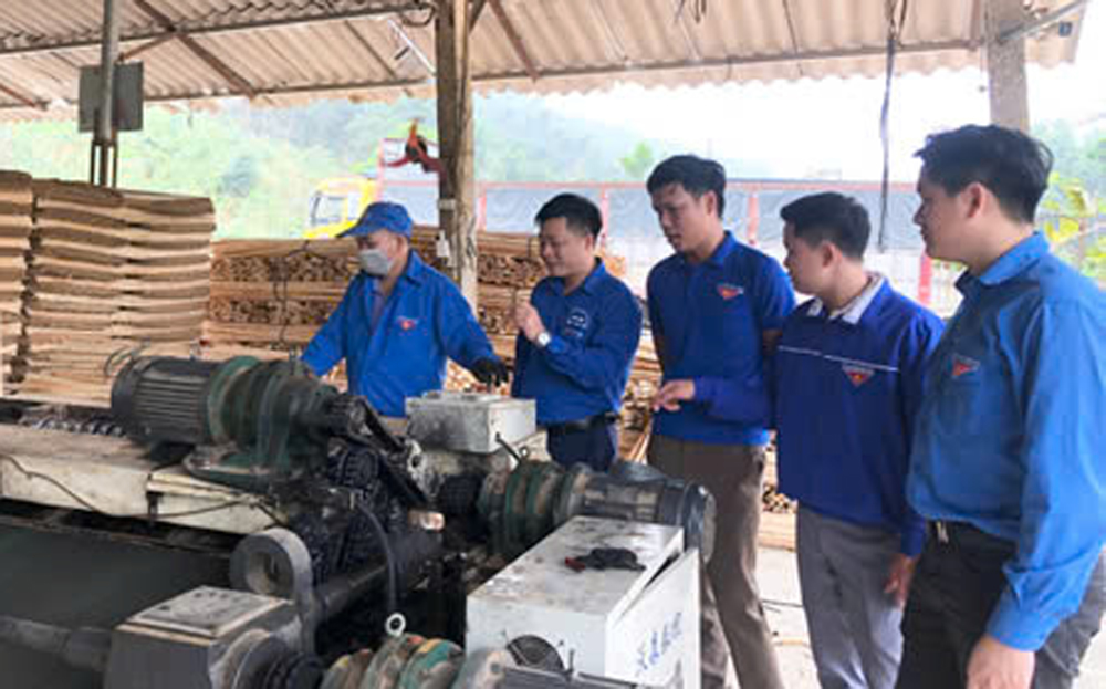 Mô hình sản xuất ván bóc của Hợp tác xã Quốc Việt mang lại thu nhập cao cho các thành viên.