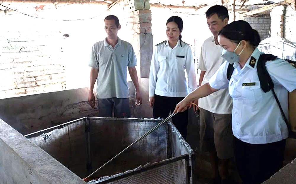 Cán bộ thú y hướng dẫn người chăn nuôi phun khử trùng tiêu độc trước khi tái đàn.