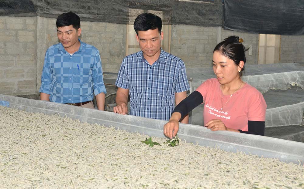 Lãnh đạo Đảng ủy xã Báo Đáp thăm mô hình nuôi tằm khay trượt của gia đình chị Nguyễn Thị Phương.