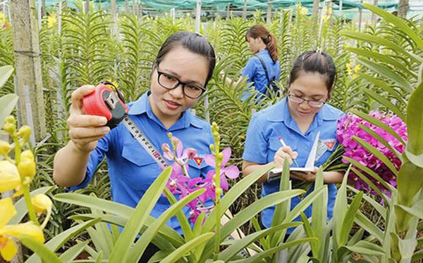 Hội Liên hiệp Thanh niên Việt Nam.