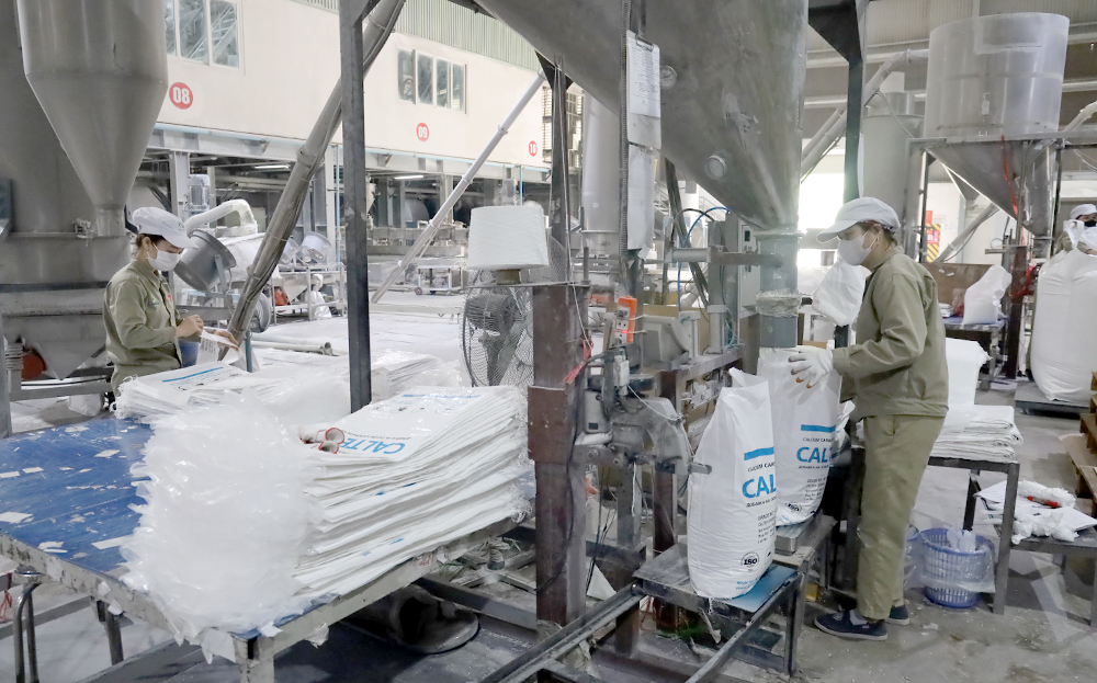 Sản xuất hạt nhựa phụ gia tại Công ty cổ phần An Tiến Industries, Khu Công nghiệp phía Nam.