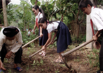 Thiếu nhi huyện Yên Bình tổ chức “Ngày thứ bảy xanh tình nguyện” giúp gia đình có công với cách mạng.
