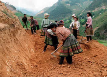 Đồng bào Mông xã Trạm Tấu (huyện Trạm Tấu) tham gia khai hoang làm ruộng bậc thang tại khu vực thôn Mo Nhang.     (Ảnh: Mạnh Cường)
