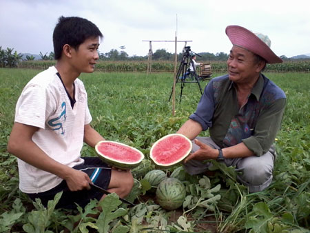 Ông Liên (phải) bên ruộng dưa của gia đình.