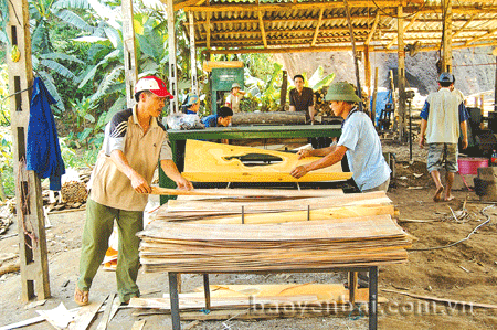 Các cơ sở chế biến gỗ rừng trồng đang vào mùa sản xuất thu hút lượng lớn lao động thời vụ. Ảnh: Lao động làm việc tại một xưởng bóc gỗ ở xã Lương Thịnh (Trấn Yên).
