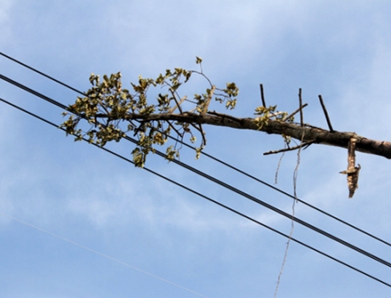 8 triệu khách hàng bị ảnh hưởng từ sự cố mất điện ở miền Nam.