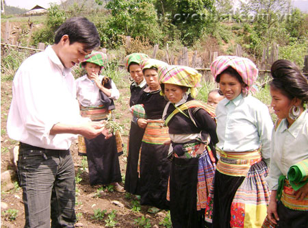 Hội viên phụ nữ ở vùng cao được tập huấn kỹ thuật sản xuất nông nghiệp.
