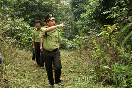 Cán bộ kiểm lâm Lục Yên tuần tra bảo vệ rừng.
