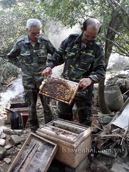 Anh Nguyễn Hữu Công kiểm tra cầu ong trước khi quay mật.