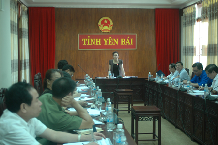 Đồng chí Ngô Thị Chinh - Phó chủ tịch UBND tỉnh phát biểu tại buổi làm việc.