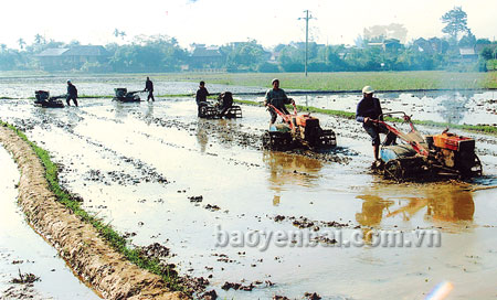 Nông dân cánh đồng Mường Lò đưa cơ giới vào phục vụ sản xuất. (Ảnh: Đoàn Thanh Hà)