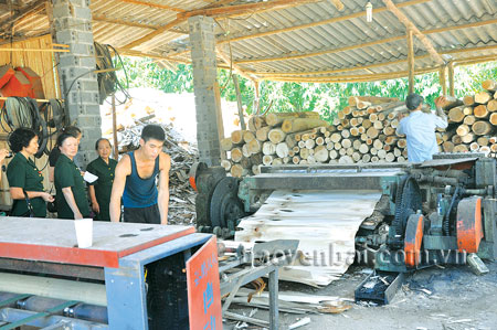 Xưởng sản xuất gỗ bóc của gia đình Cựu thanh niên xung phong Kim Thị Nụ (tổ 12, phường Pú Trạng, thị xã Nghĩa Lộ).