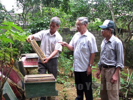 Ông Đinh Xuân Thập (đứng giữa) cùng các hội viên trao đổi về phương pháp nuôi ong lấy mật.
