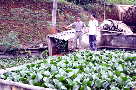 Anh Học giới thiệu mô hình nuôi trồng thủy sản với cán bộ xã Bình Thuận.
