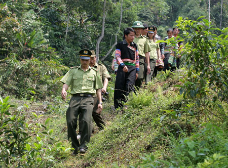 Cán bộ kiểm lâm huyện Văn Chấn tăng cường tuần tra bảo vệ rừng. (Ảnh: T.L)