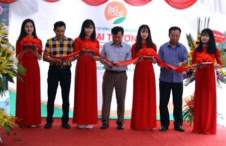 Đại diện lãnh đạo Sở Nông nghiệp và phát triển nông thôn cùng Công ty cắt băng khai trương cửa hàng thwucj phẩm sạch của Công ty cổ phần Nông sản sạch B&G Việt Nam