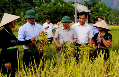 Lãnh đạo cấp ủy, chính quyền huyện Yên Bình bám sát cơ sở nắm tình hình sản xuất và lắng nghe tâm tư, nguyện vọng của nhân dân để đề ra các nghị quyết, chính sách hợp lòng dân.