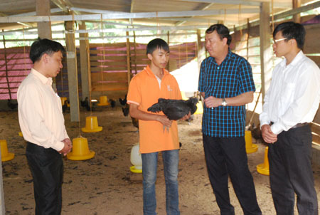Lãnh đạo huyện Mù Cang Chải thăm mô hình chăn nuôi gà đen của anh Vàng A Công ở xã Púng Luông.
