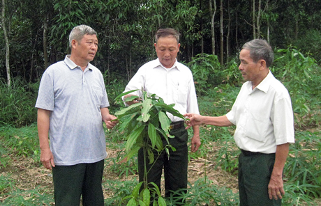 Lãnh đạo Hội Nạn nhân CĐDC/Dioxin huyện Văn Yên thăm mô hình kinh tế vườn rừng của hội viên Triệu Đình Khỏe, thôn Khe Hỏa, xã Tân Hợp.