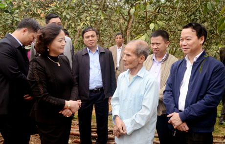 Các đồng chí: Phạm Thị Thanh Trà - Ủy viên Ban chấp hành Trung ương Đảng, Bí thư Tỉnh ủy, Chủ tịch HĐND tỉnh; Đỗ Đức Duy - Phó Bí thư Tỉnh ủy, Chủ tịch UBND tỉnh thăm mô hình trồng bưởi của gia đình Đinh Việt Vinh, thôn Đồng Danh, xã Đại Minh, huyện Yên Bình, tháng 2/2017. Ảnh: Đức Toàn