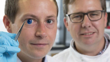 Tiến sỹ Steve Swioklo (trái) và giáo sư Che Connon với giác mạc được in 3D.