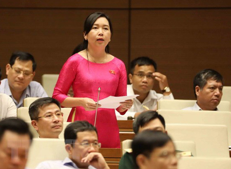Đại biểu Quốc hội tỉnh Bình Định Lý Tiết Hạnh phát biểu.