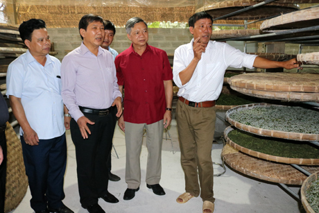 Đoàn công tác của Ủy ban Trung ương MTTQ Việt Nam và lãnh đạo Ủy ban MTTQ Việt Nam tỉnh Yên Bái tham quan, thực tế mô hình trồng dâu, nuôi tằm.